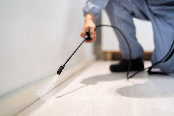 Bed Bug Pre-Treatment Preparation Assessment in Auburn